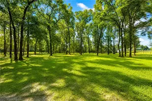 15970 NW 53rd St, Morriston, FL 32668 - Photo 63