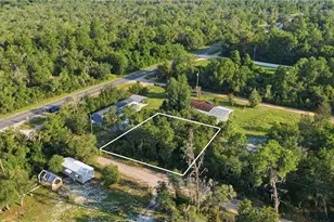 Tbd NE 235th St, Fort Mc Coy, FL 32134 - Photo 1