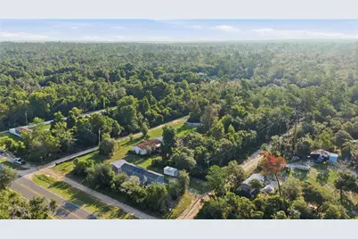 Tbd NE 235th Street, Fort Mc Coy, FL 32134 - Photo 3
