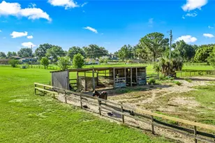 9755 SE 58th Ave, Belleview, FL 34420 - Photo 55