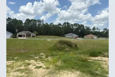 7184 SW 179th Court Road, Dunnellon, FL 34432 - Photo 9