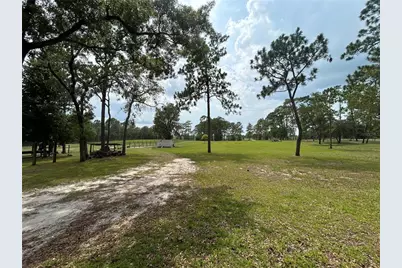 14050 SE 10th Street, Williston, FL 32696 - Photo 7