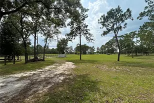 14050 SE 10 St, Williston, FL 32696 - Photo 7