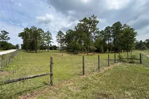 14050 SE 10 St, Williston, FL 32696 - Photo 15