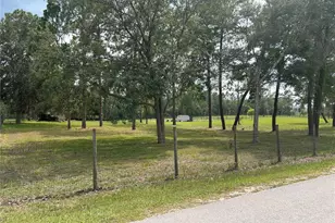 14050 SE 10 St, Williston, FL 32696 - Photo 13