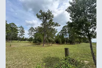 14050 SE 10th Street, Williston, FL 32696 - Photo 17