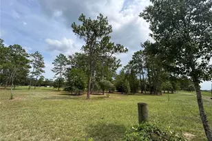 14050 SE 10 St, Williston, FL 32696 - Photo 17