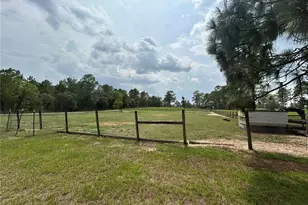 14050 SE 10 St, Williston, FL 32696 - Photo 9
