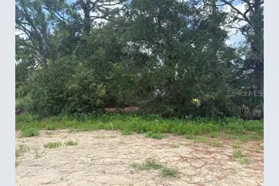 6878 SW 179th Avenue Road, Dunnellon, FL 34432 - Photo 11