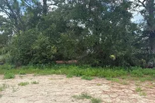 6878 SW 179th Ave Rd, Dunnellon, FL 34432 - Photo 11