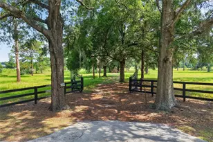 7555 SW 77 Pl, Ocala, FL 34476 - Photo 7
