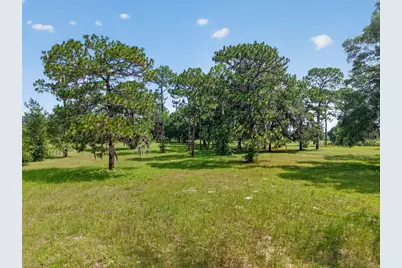 7555 SW 77th Place, Ocala, FL 34476 - Photo 9
