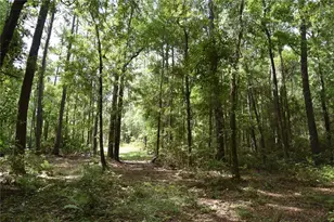 375 Buck Springs Rd, Palatka, FL 32177 - Photo 53