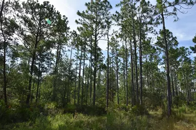 375 Buck Springs Road, Palatka, FL 32177 - Photo 61