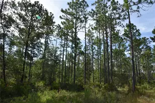 375 Buck Springs Rd, Palatka, FL 32177 - Photo 61