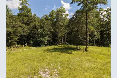 375 Buck Springs Road, Palatka, FL 32177 - Photo 31