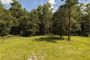 375 Buck Springs Rd, Palatka, FL 32177 - Photo 31