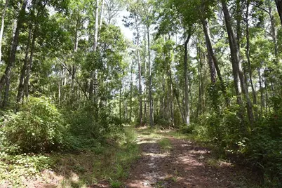 375 Buck Springs Road, Palatka, FL 32177 - Photo 39