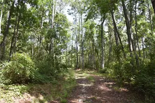 375 Buck Springs Rd, Palatka, FL 32177 - Photo 39
