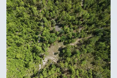 375 Buck Springs Road, Palatka, FL 32177 - Photo 51