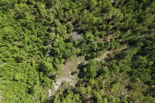 375 Buck Springs Rd, Palatka, FL 32177 - Photo 51