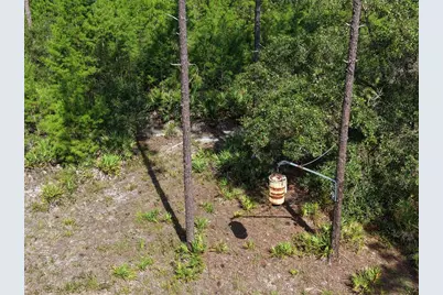 375 Buck Springs Road, Palatka, FL 32177 - Photo 41
