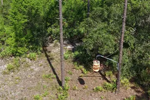 375 Buck Springs Rd, Palatka, FL 32177 - Photo 41