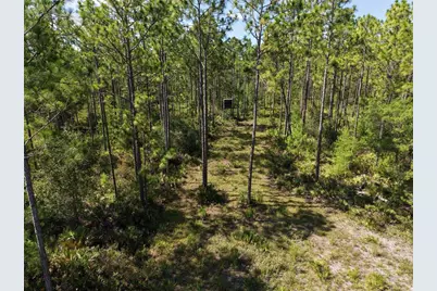 375 Buck Springs Road, Palatka, FL 32177 - Photo 49
