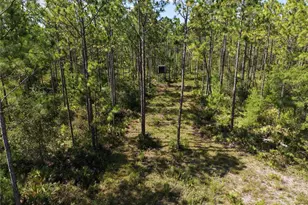 375 Buck Springs Rd, Palatka, FL 32177 - Photo 49