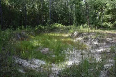 375 Buck Springs Road, Palatka, FL 32177 - Photo 59