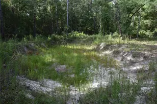 375 Buck Springs Rd, Palatka, FL 32177 - Photo 59