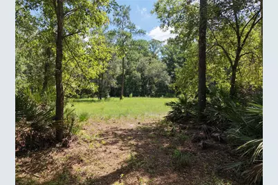 375 Buck Springs Road, Palatka, FL 32177 - Photo 69