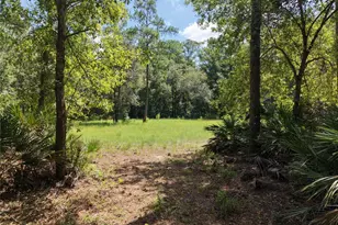 375 Buck Springs Rd, Palatka, FL 32177 - Photo 69