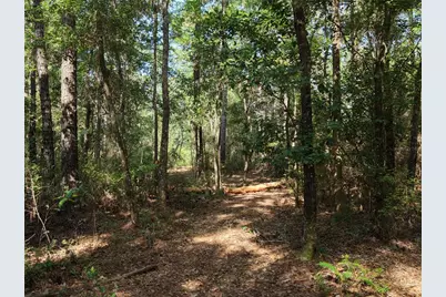 375 Buck Springs Road, Palatka, FL 32177 - Photo 43