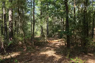 375 Buck Springs Rd, Palatka, FL 32177 - Photo 43