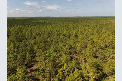 375 Buck Springs Road, Palatka, FL 32177 - Photo 47