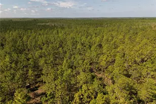 375 Buck Springs Rd, Palatka, FL 32177 - Photo 47