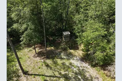 375 Buck Springs Road, Palatka, FL 32177 - Photo 71