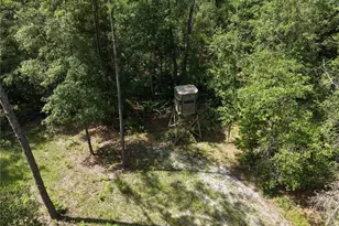 375 Buck Springs Rd, Palatka, FL 32177 - Photo 71
