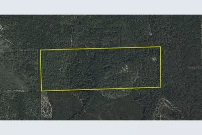 375 Buck Springs Road, Palatka, FL 32177 - Photo 5