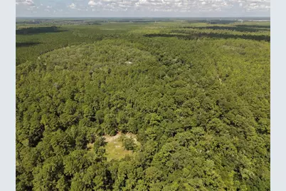375 Buck Springs Road, Palatka, FL 32177 - Photo 11