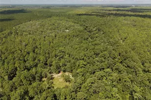 375 Buck Springs Rd, Palatka, FL 32177 - Photo 11