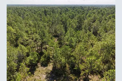 375 Buck Springs Road, Palatka, FL 32177 - Photo 63