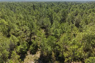 375 Buck Springs Rd, Palatka, FL 32177 - Photo 63