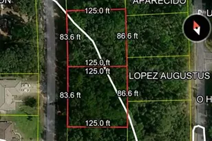 10631 N Haitian Dr, Citrus Springs, FL 34434 - Photo 1