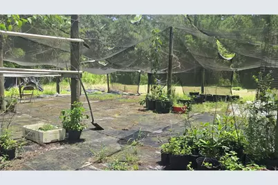 135 Starlight Road, Crescent City, FL 32112 - Photo 37