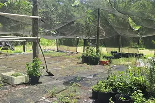 135 Starlight Rd, Crescent City, FL 32112 - Photo 37