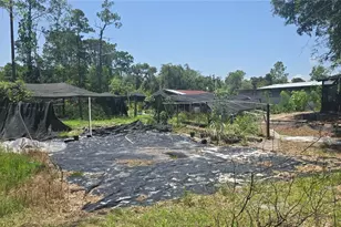 135 Starlight Rd, Crescent City, FL 32112 - Photo 35