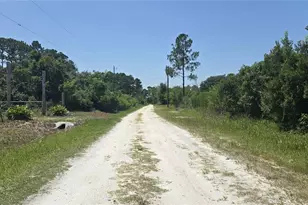 135 Starlight Rd, Crescent City, FL 32112 - Photo 3