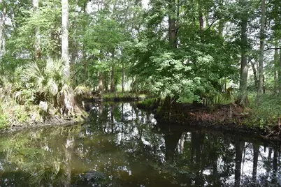 8650 NW 136th Avenue, Chiefland, FL 32626 - Photo 11